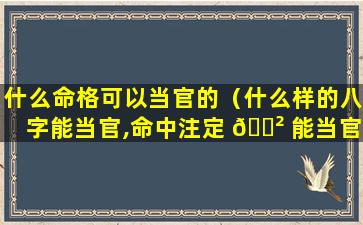 什么命格可以当官的（什么样的八字能当官,命中注定 🌲 能当官的八字）